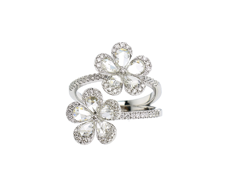Ring 17